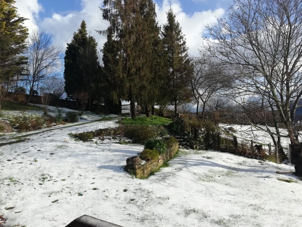 jardin nevado3