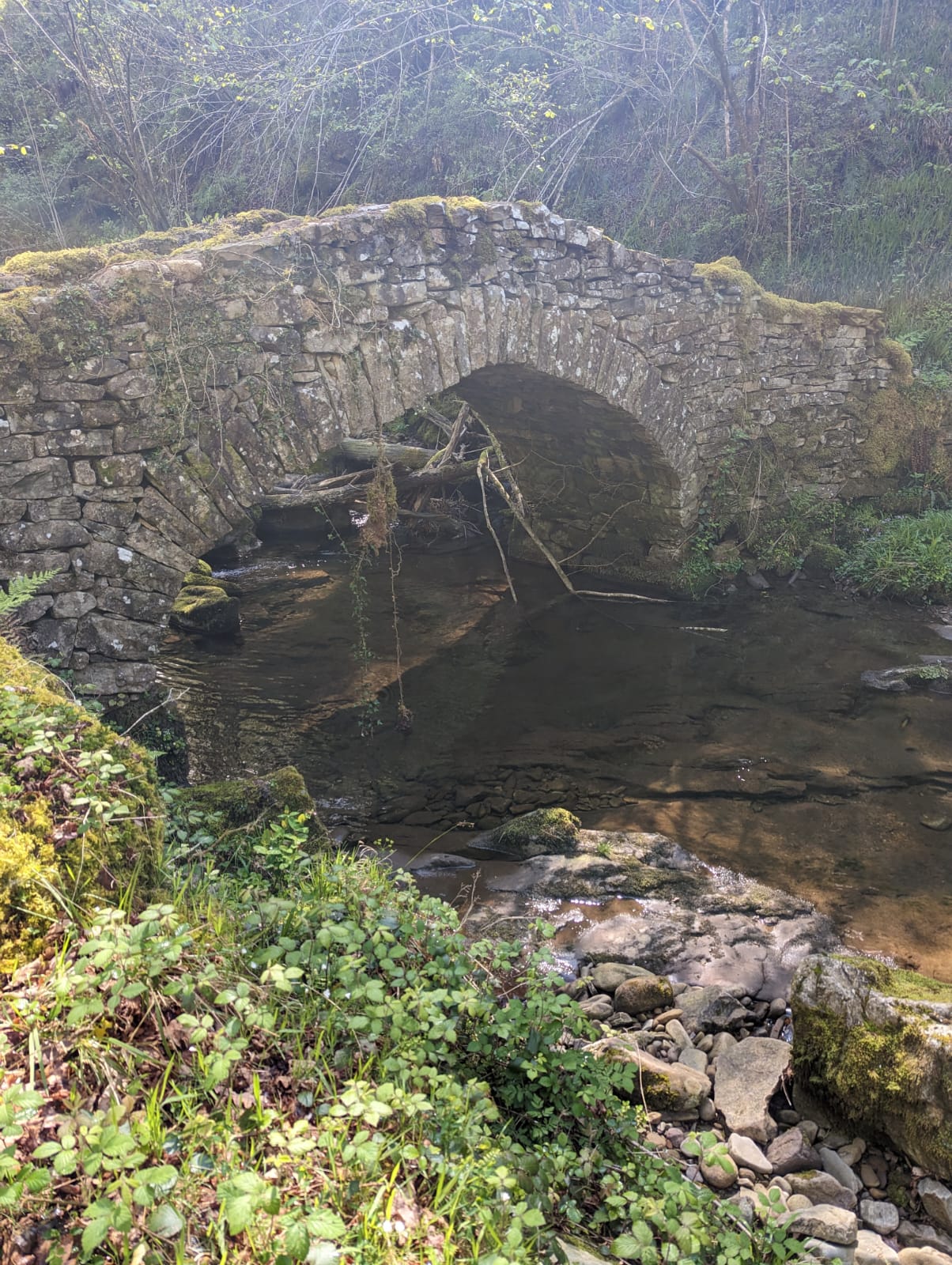 puente medieval